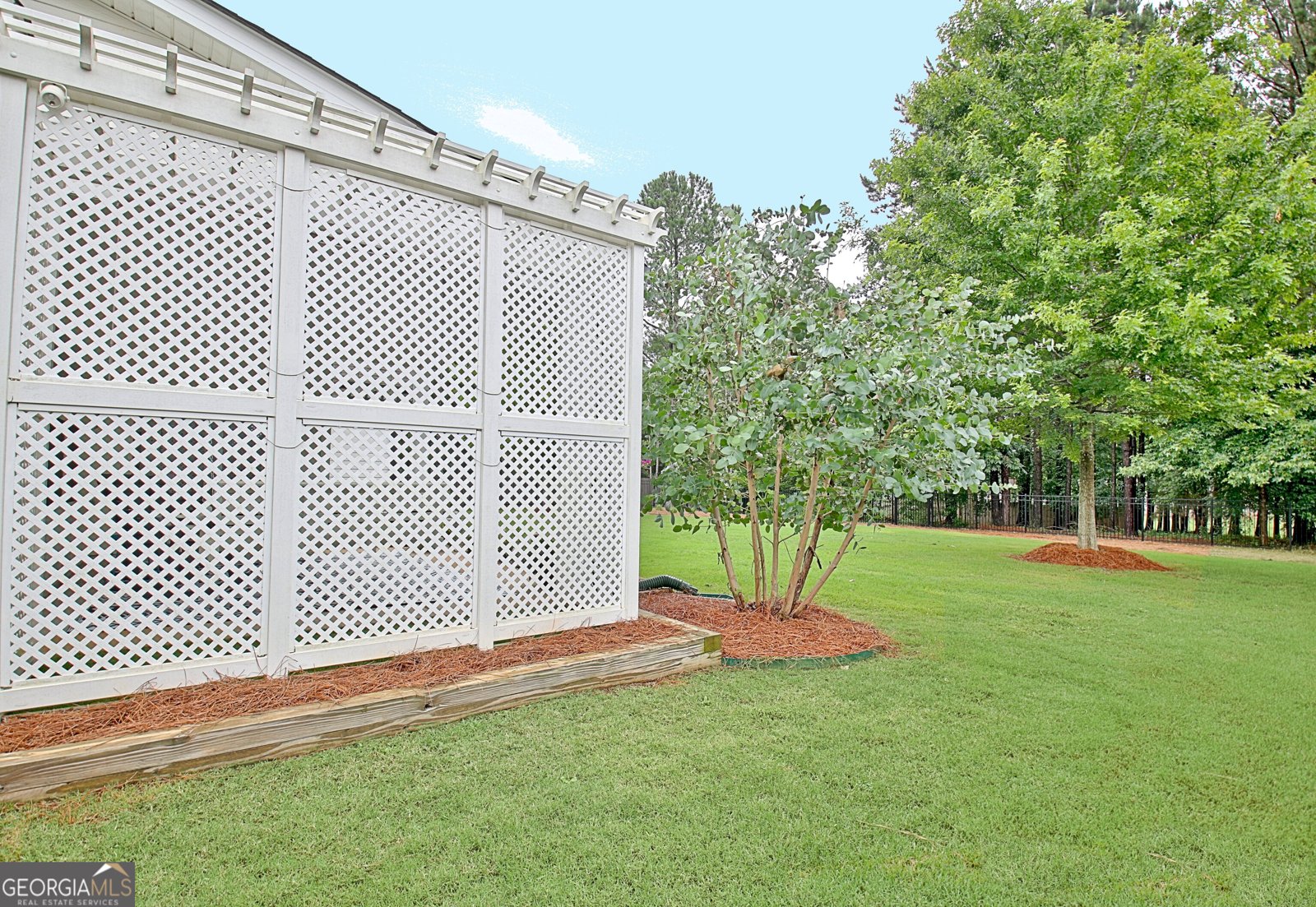 145 Duck Drive Senoia - 53