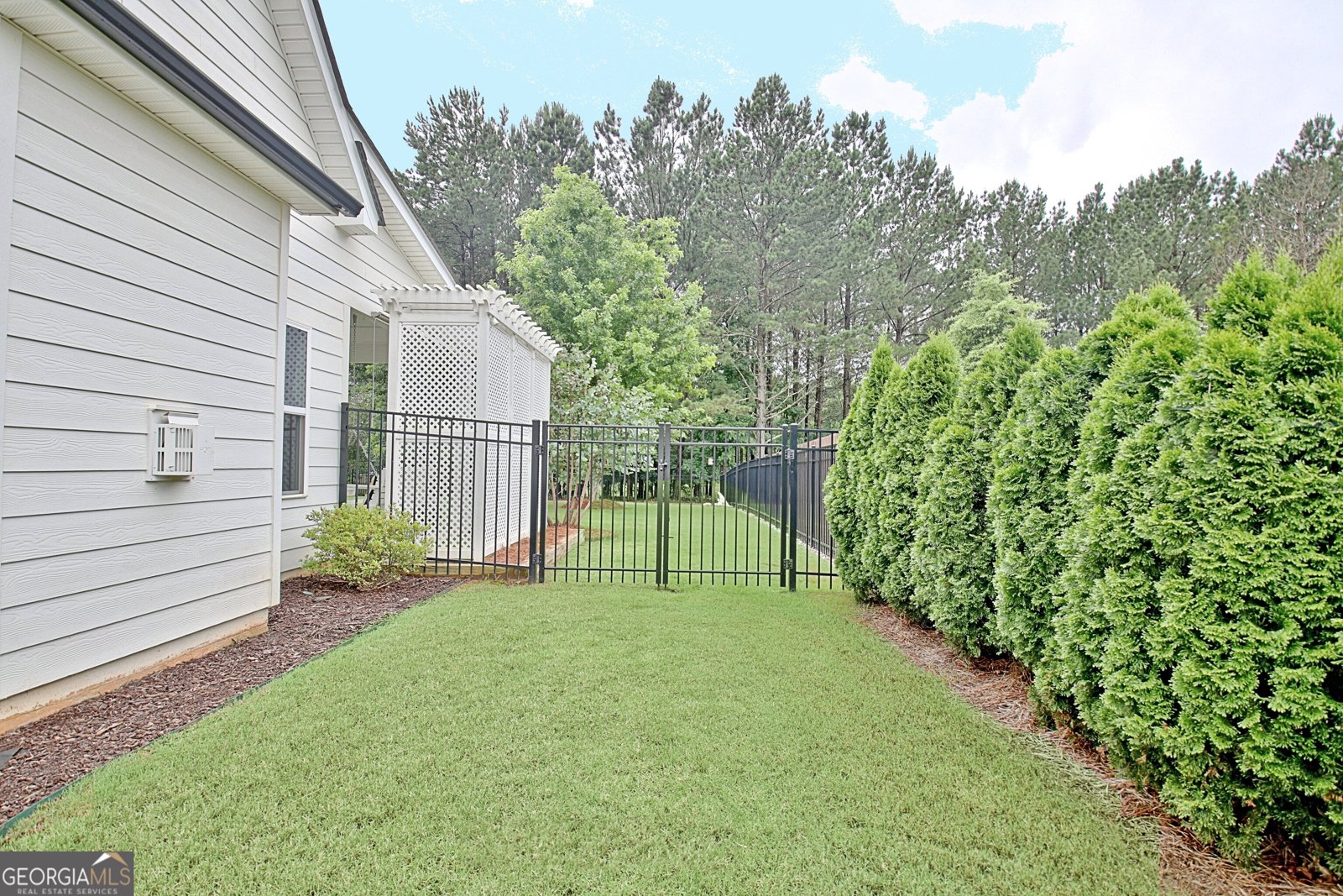 145 Duck Drive Senoia - 61