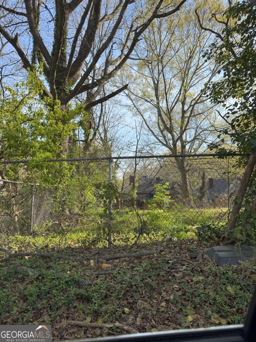 707 Dill Avenue Atlanta - 5