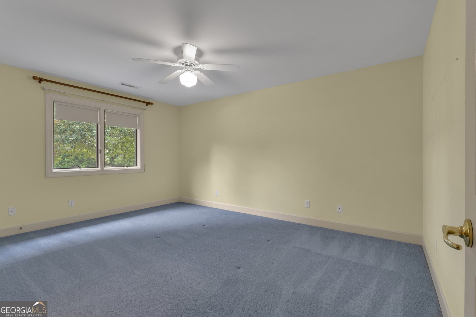 821 Carnellian Lane Peachtree City - 46