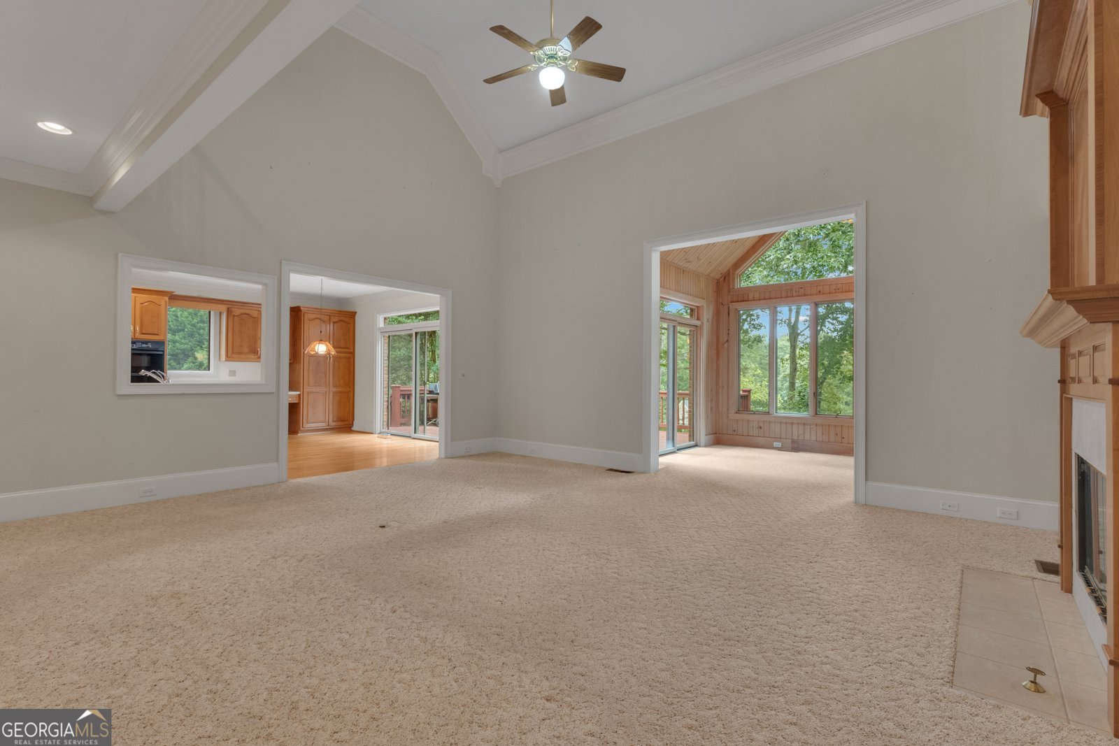 821 Carnellian Lane Peachtree City - 9