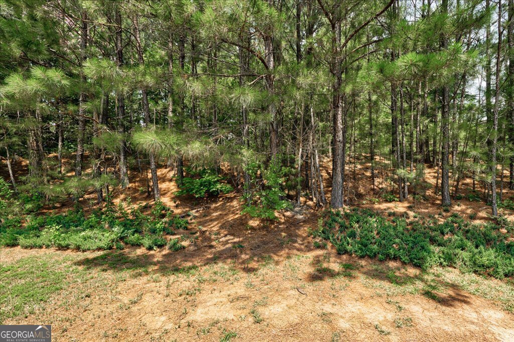 2504 Plymouth Way Conyers - 37