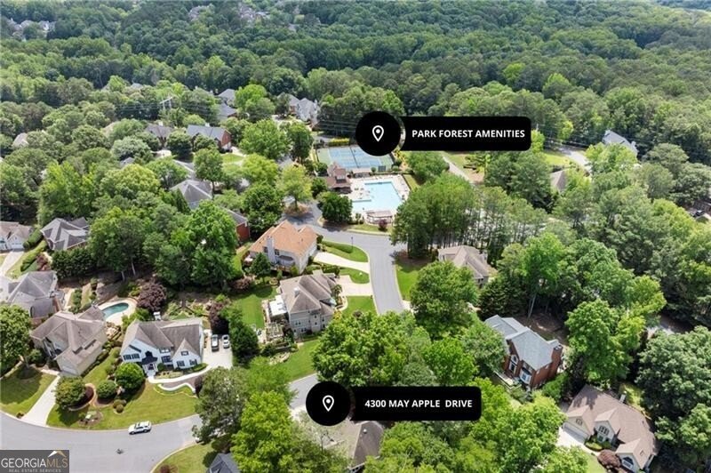 4300 May Apple Drive Alpharetta - 82