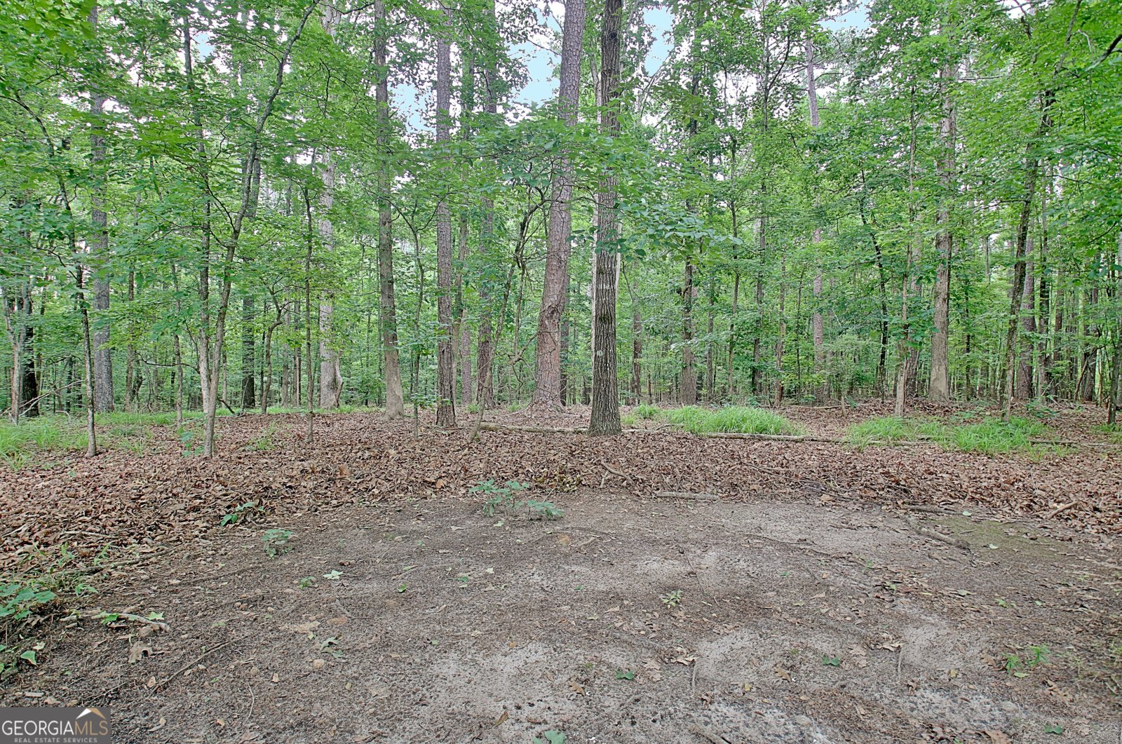 210 Grandchester Way Fayetteville - 47
