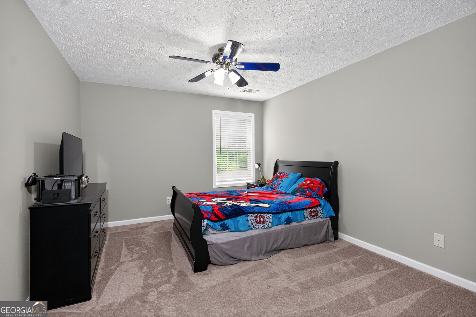 743 Rosemont Road Lagrange - 29