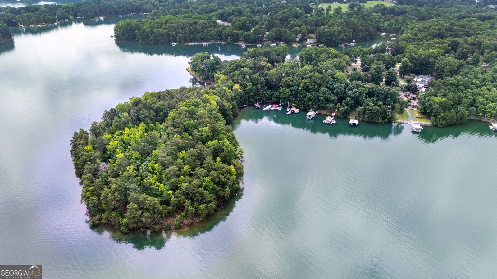 6178 Lake Lanier Height Road Buford - 7