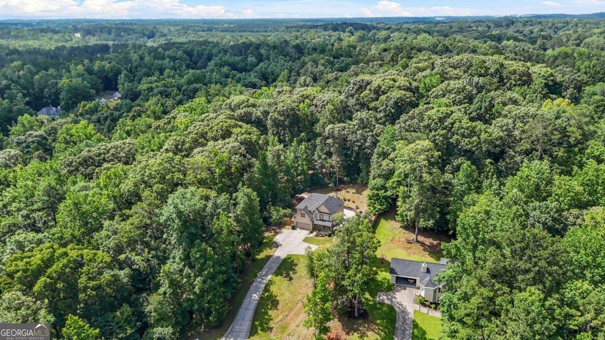 255 Hamilton Drive Newnan - 52