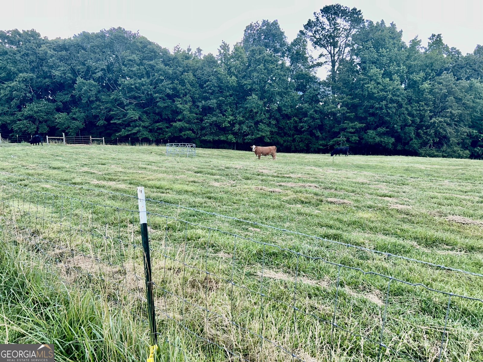 2456 Tex Smith Drive Elberton - 18