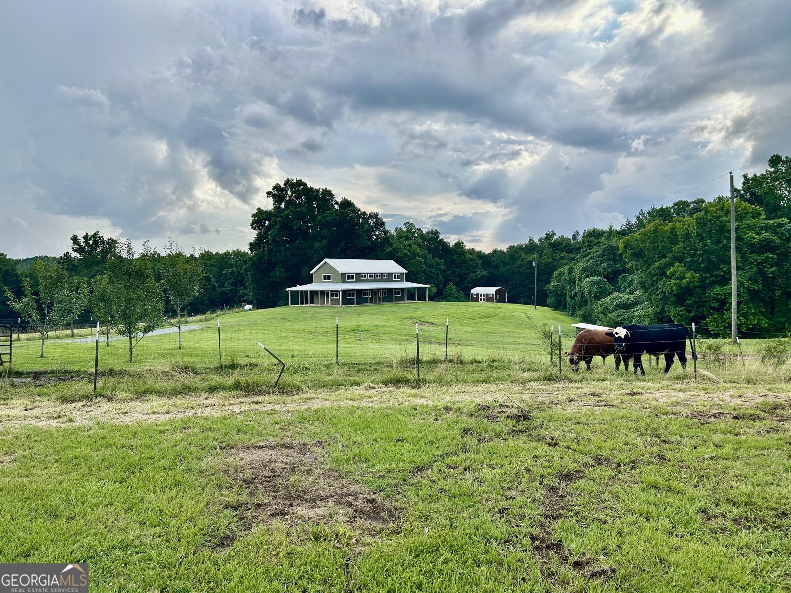 2456 Tex Smith Drive Elberton - 20