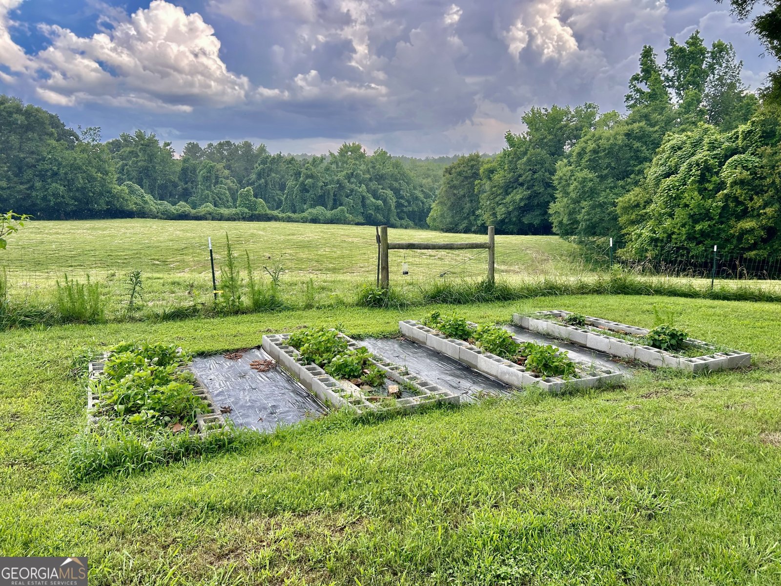 2456 Tex Smith Drive Elberton - 24