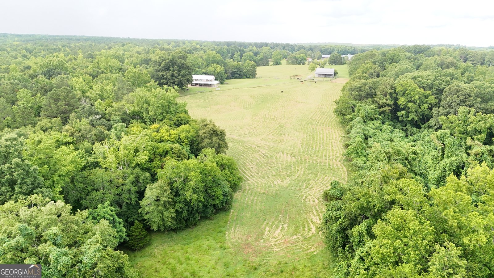 2456 Tex Smith Drive Elberton - 8