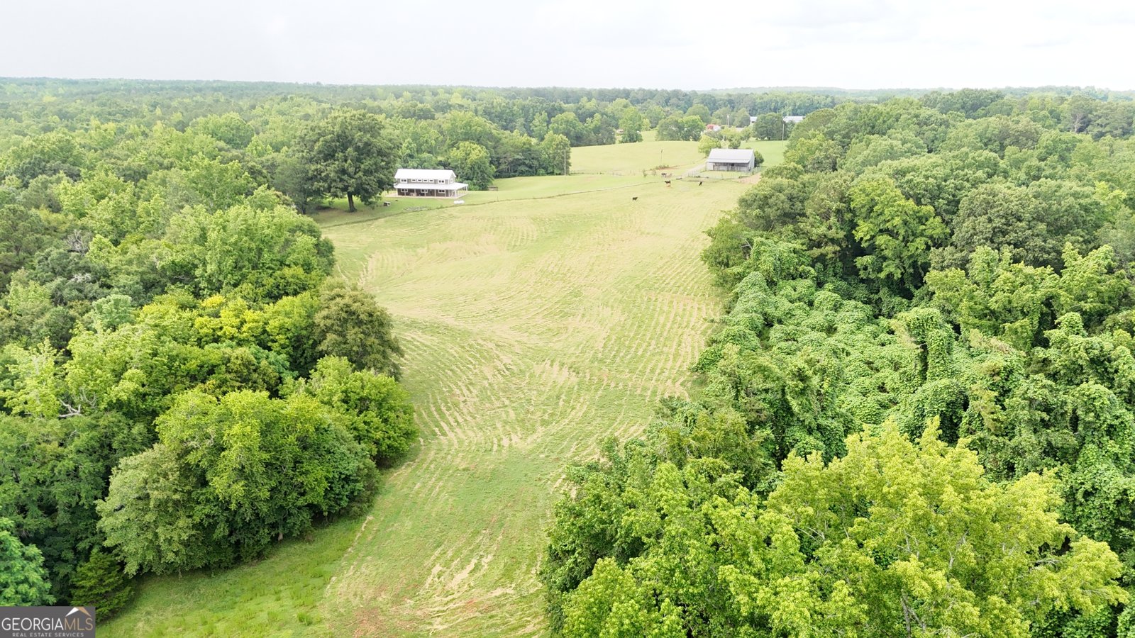2456 Tex Smith Drive Elberton - 9