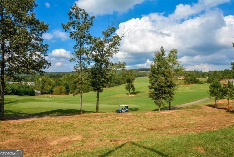 505 Appalachian Woods Drive Canton - 5