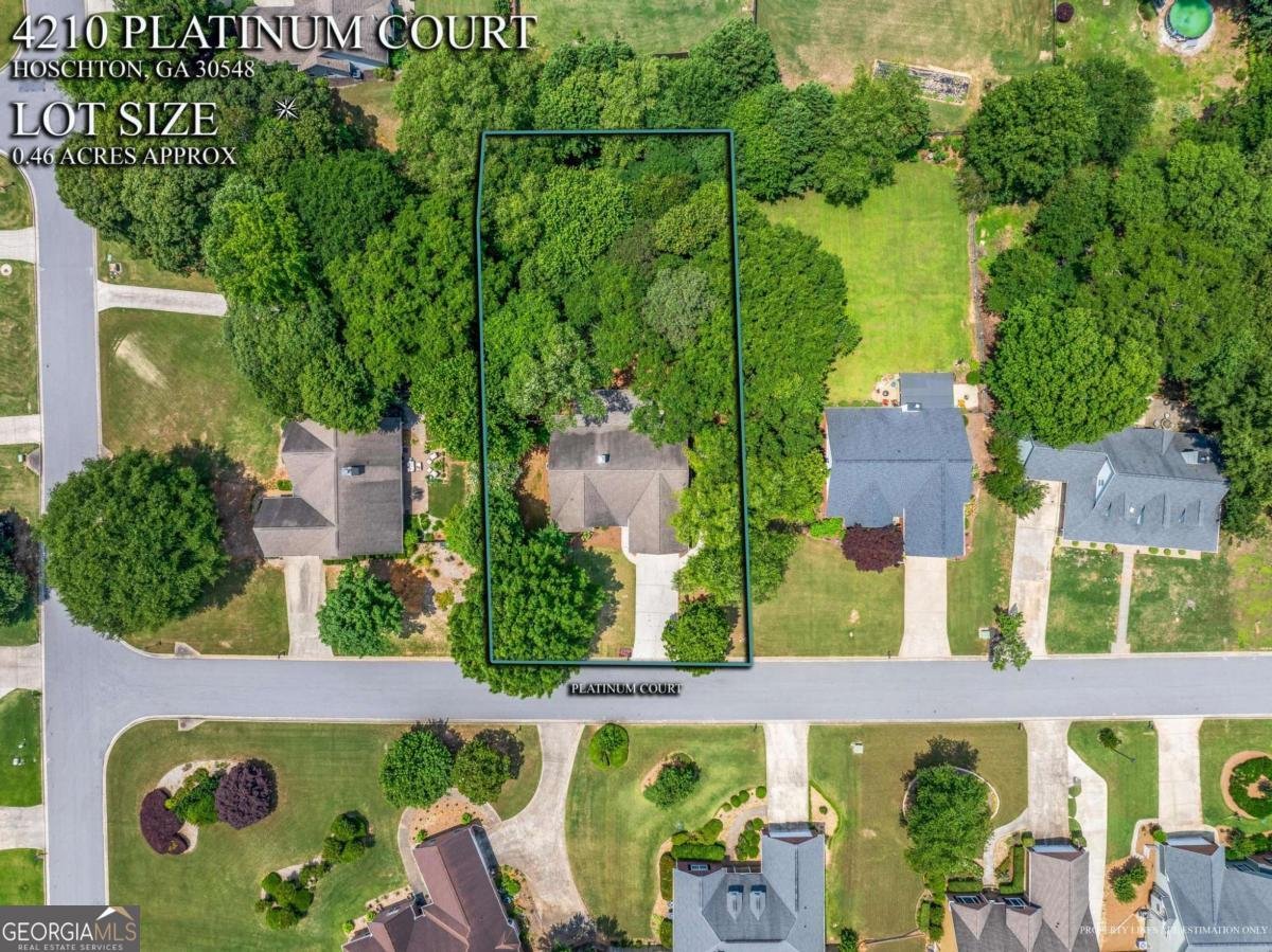 4210 Platinum Court Hoschton - 36
