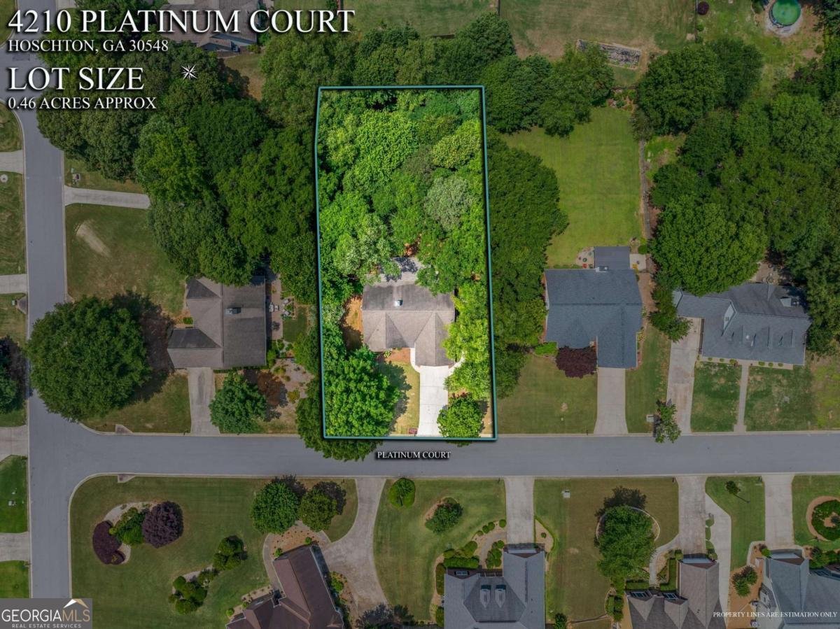4210 Platinum Court Hoschton - 38