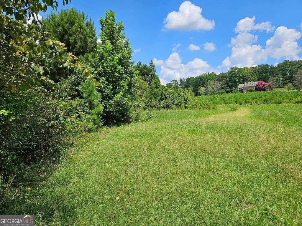 1736 Frances White Road Temple - 46