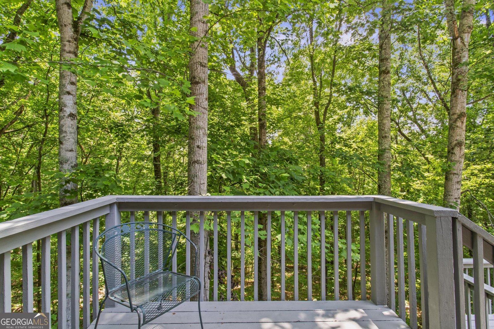 970 Pine Grove Pointe Drive Roswell - 24
