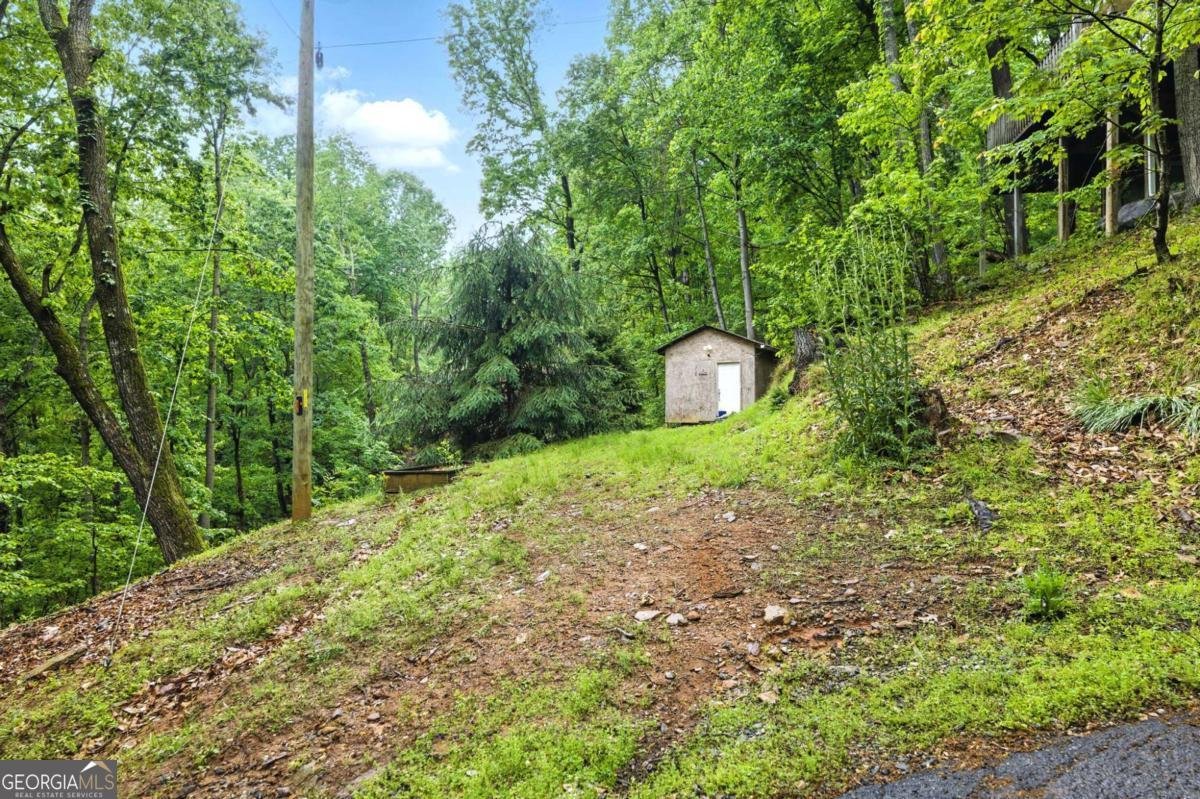 139 Lookout Ridge Road Cleveland - 38