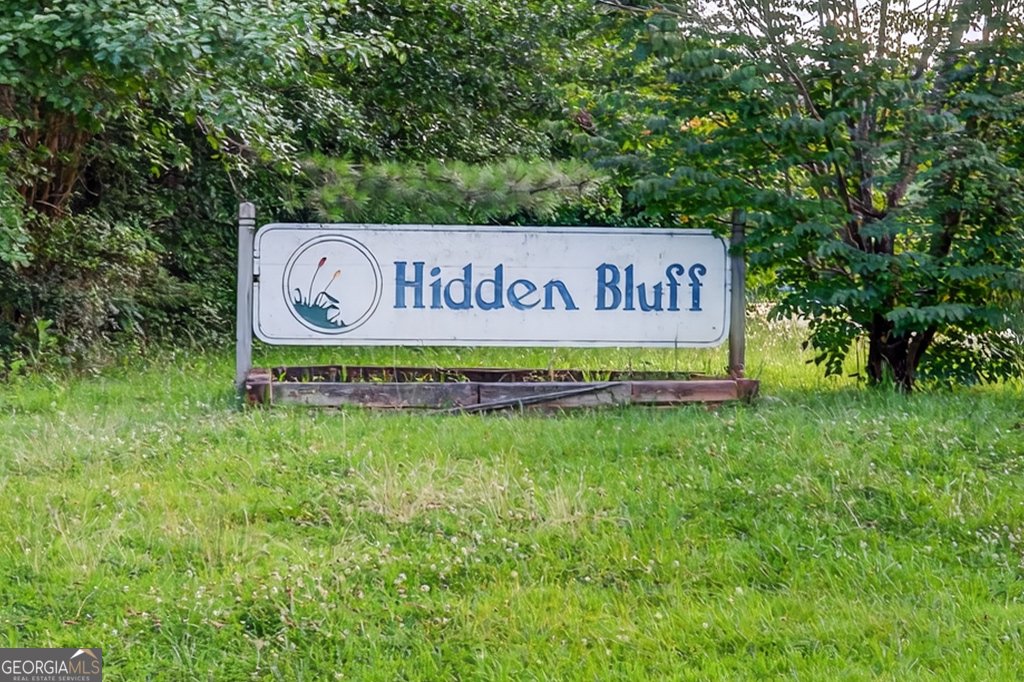 3328 Hidden Bluff Trail Snellville - 2