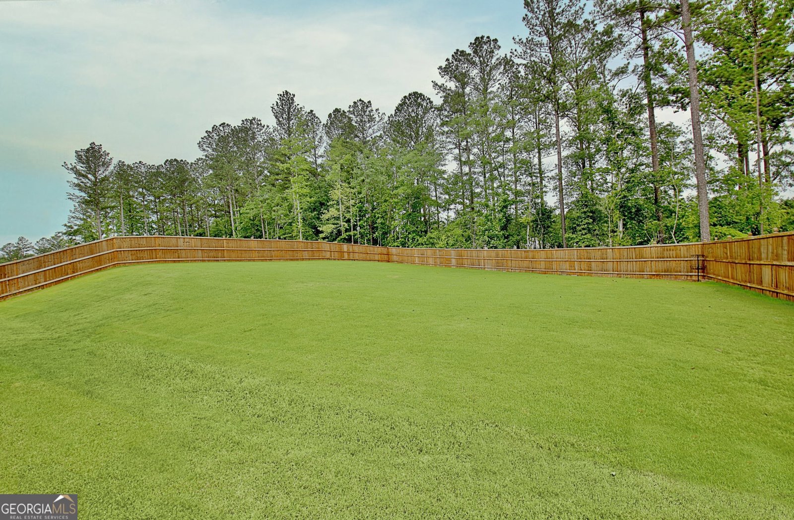 77 Sunflower Drive Newnan - 1