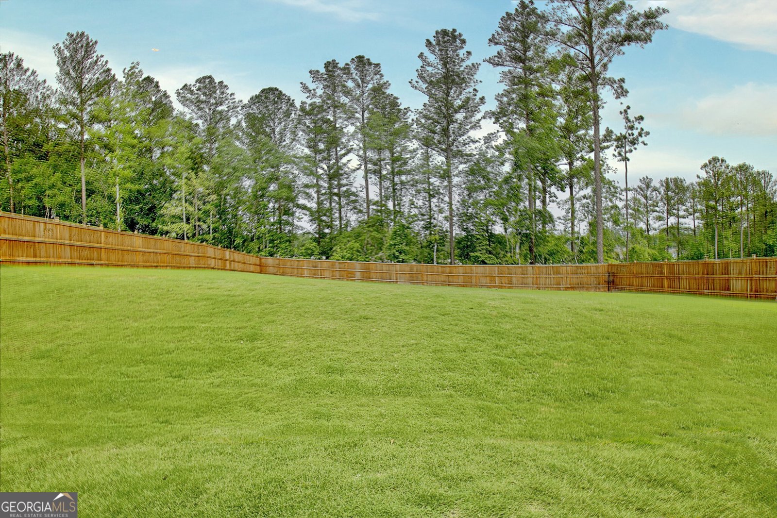 77 Sunflower Drive Newnan - 2