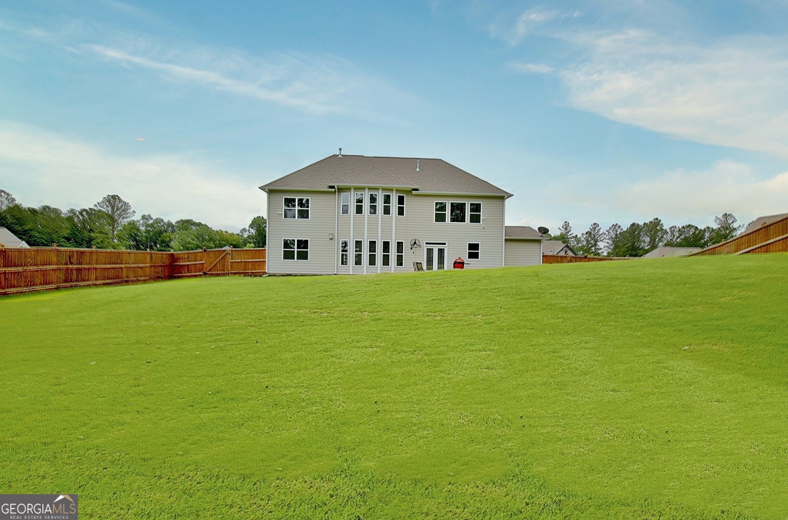 77 Sunflower Drive Newnan - 3