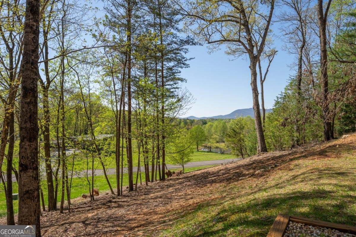 40 Pond Path Ellijay - 2
