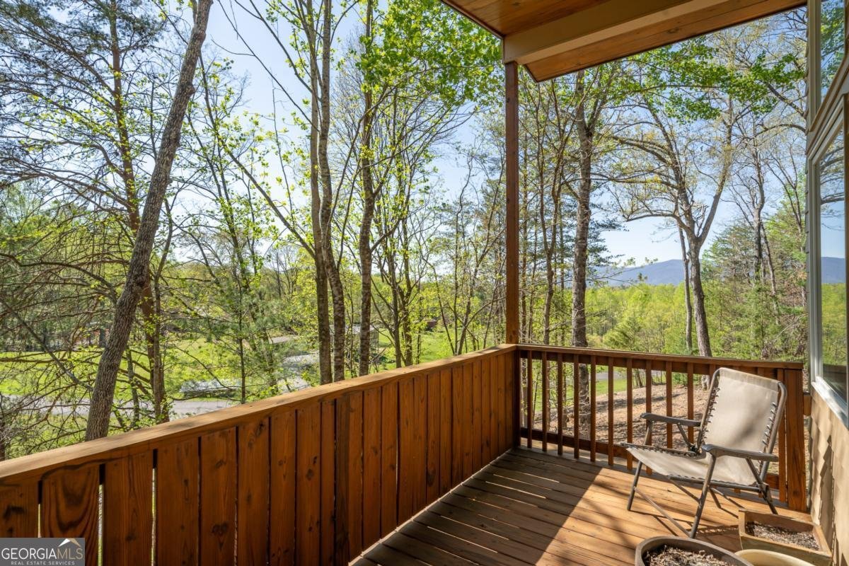 40 Pond Path Ellijay - 42
