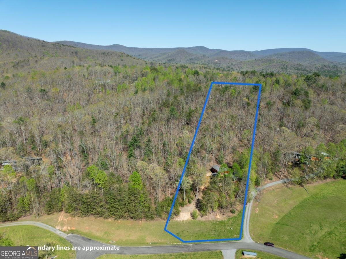40 Pond Path Ellijay - 43