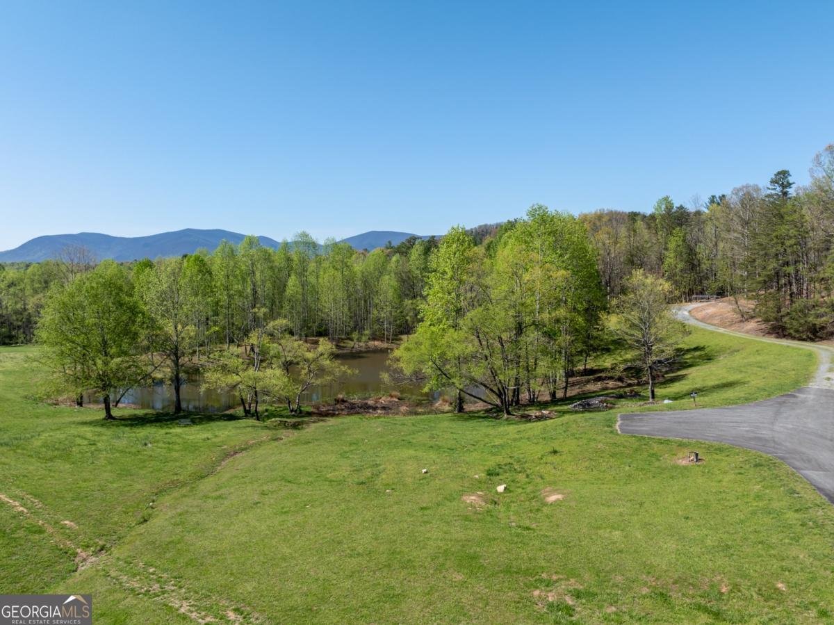 40 Pond Path Ellijay - 44
