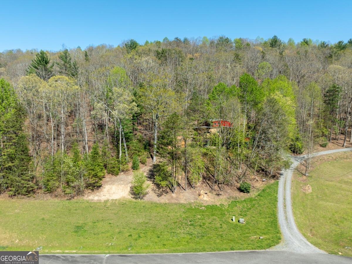 40 Pond Path Ellijay - 45