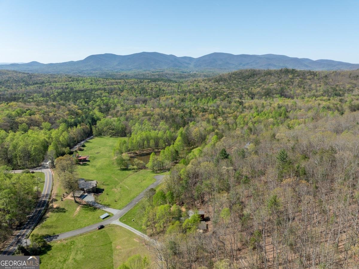 40 Pond Path Ellijay - 46