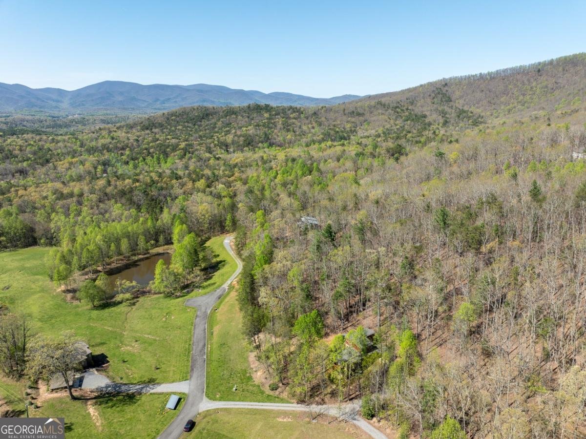 40 Pond Path Ellijay - 47
