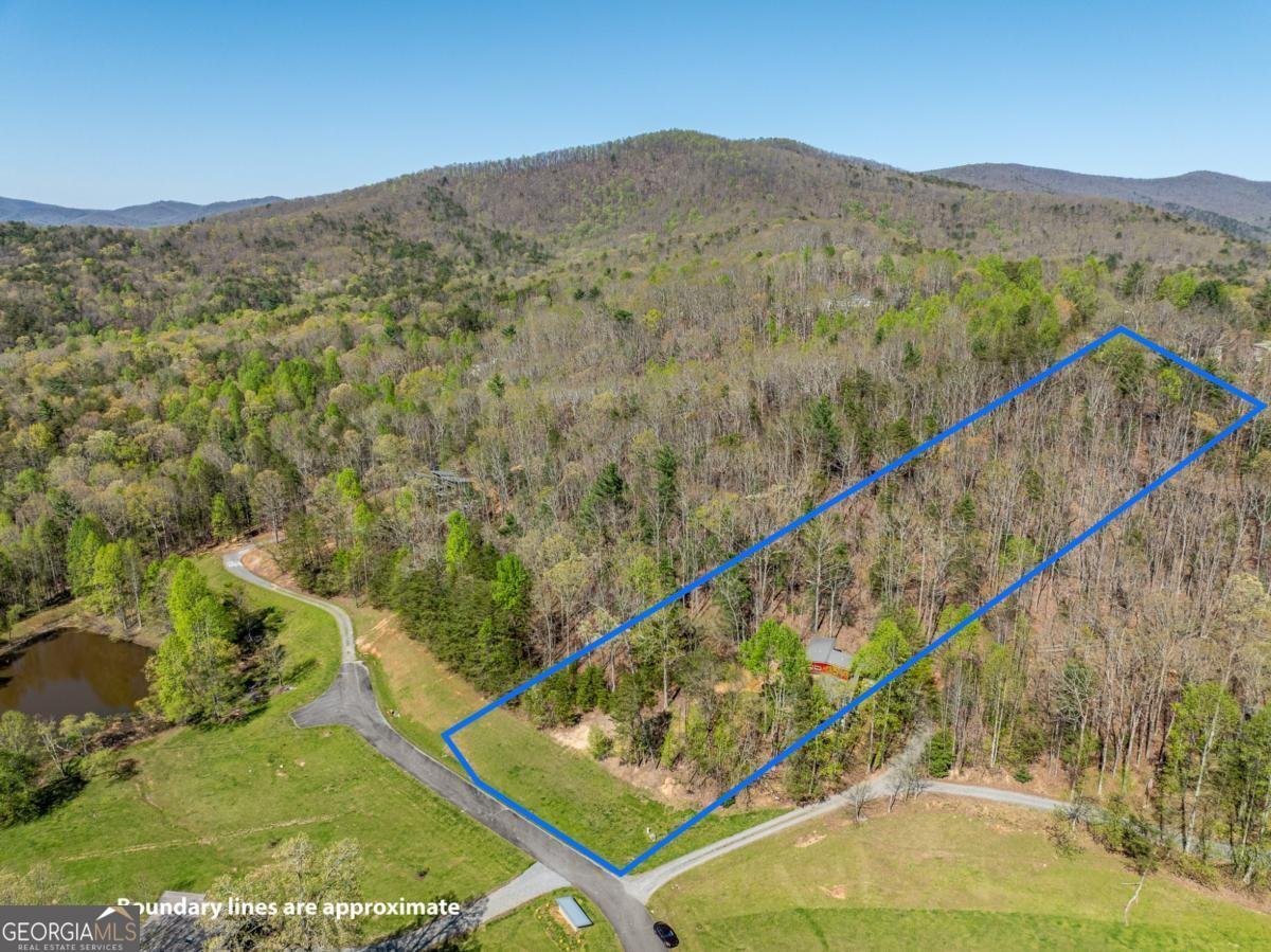 40 Pond Path Ellijay - 48