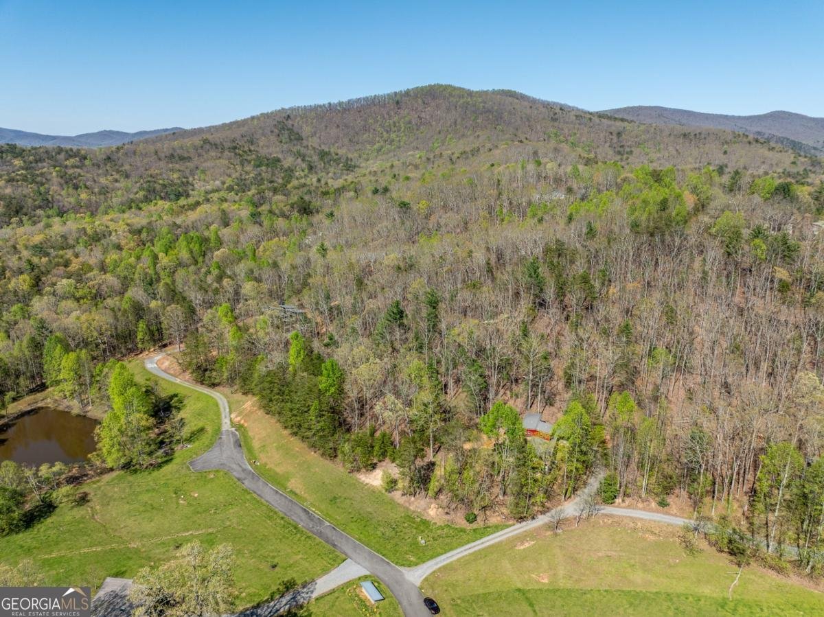 40 Pond Path Ellijay - 49