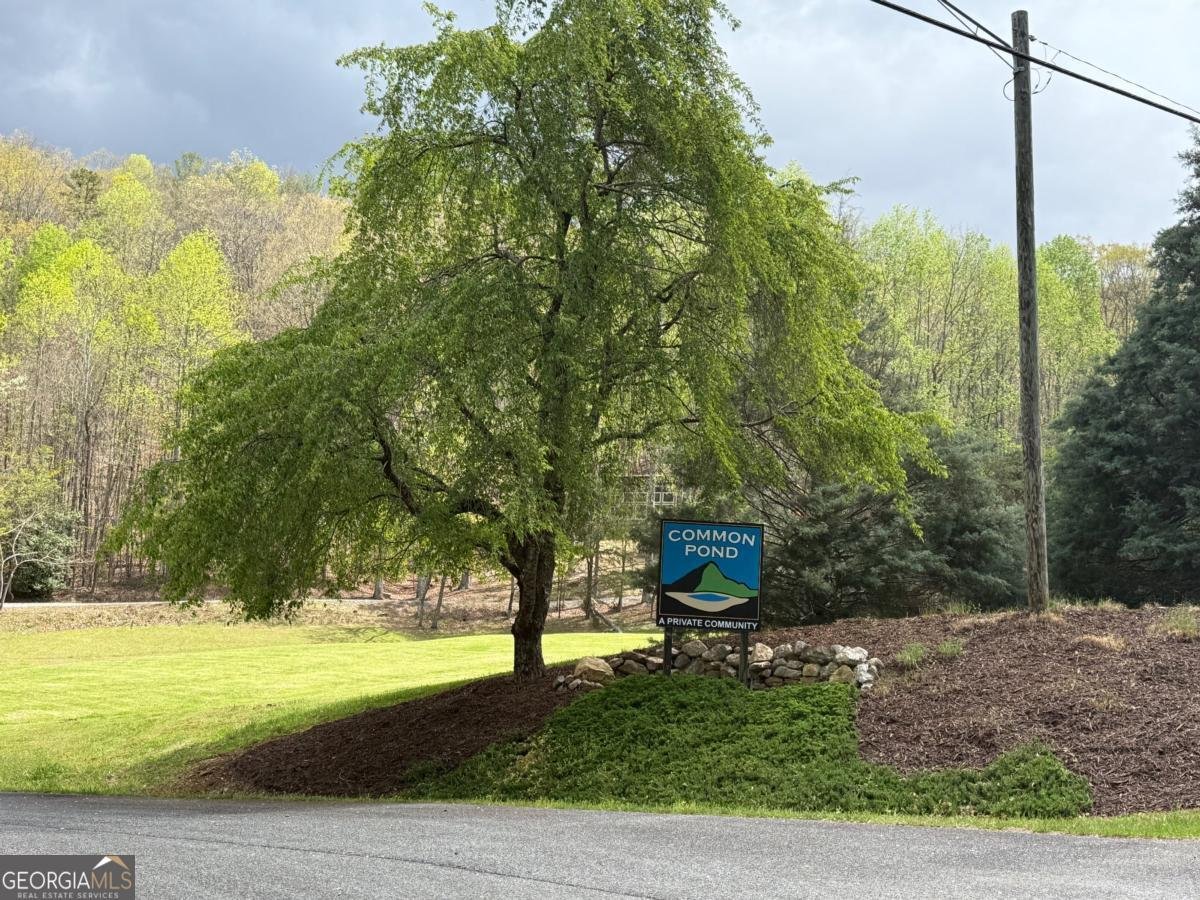 40 Pond Path Ellijay - 50