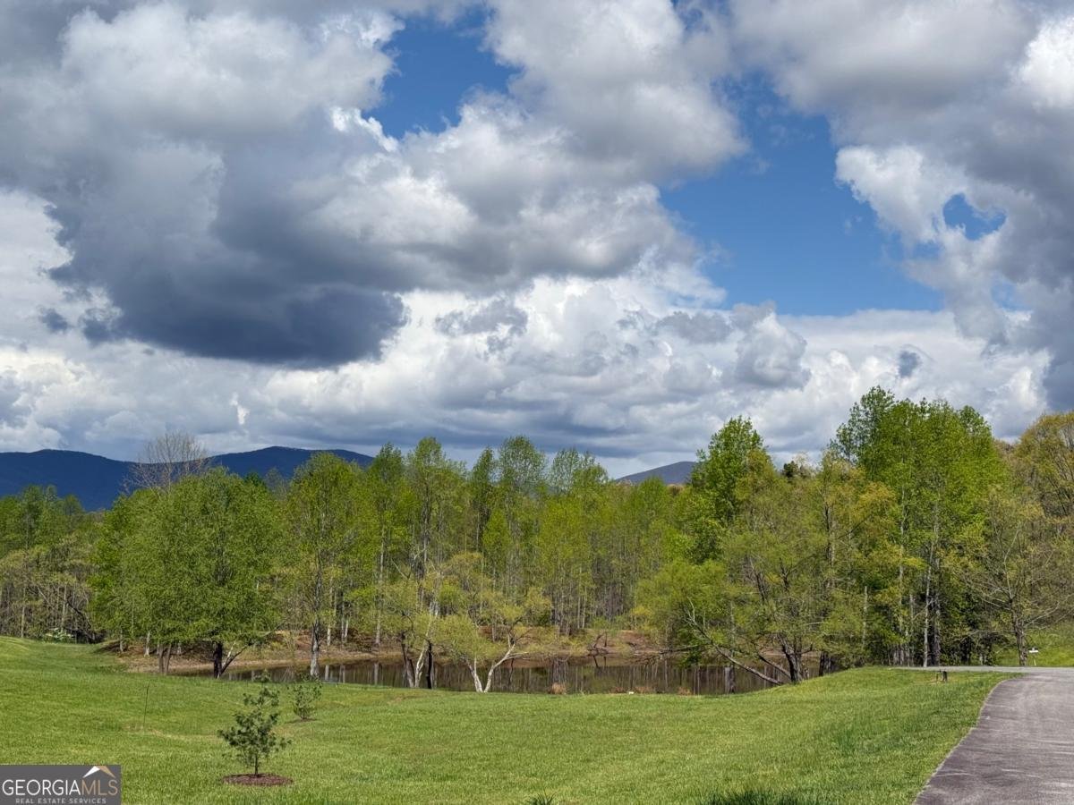 40 Pond Path Ellijay - 51