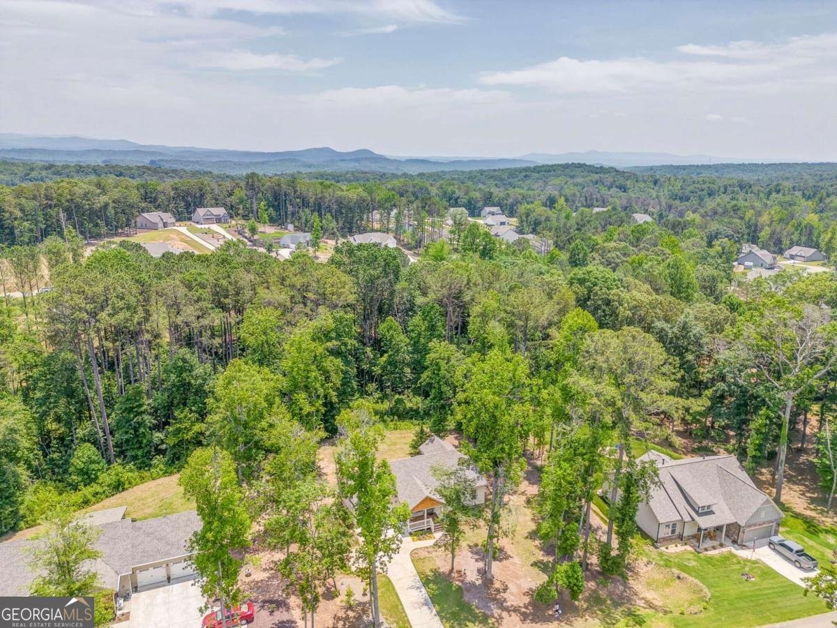97 Sunset Cove Ellijay - 3
