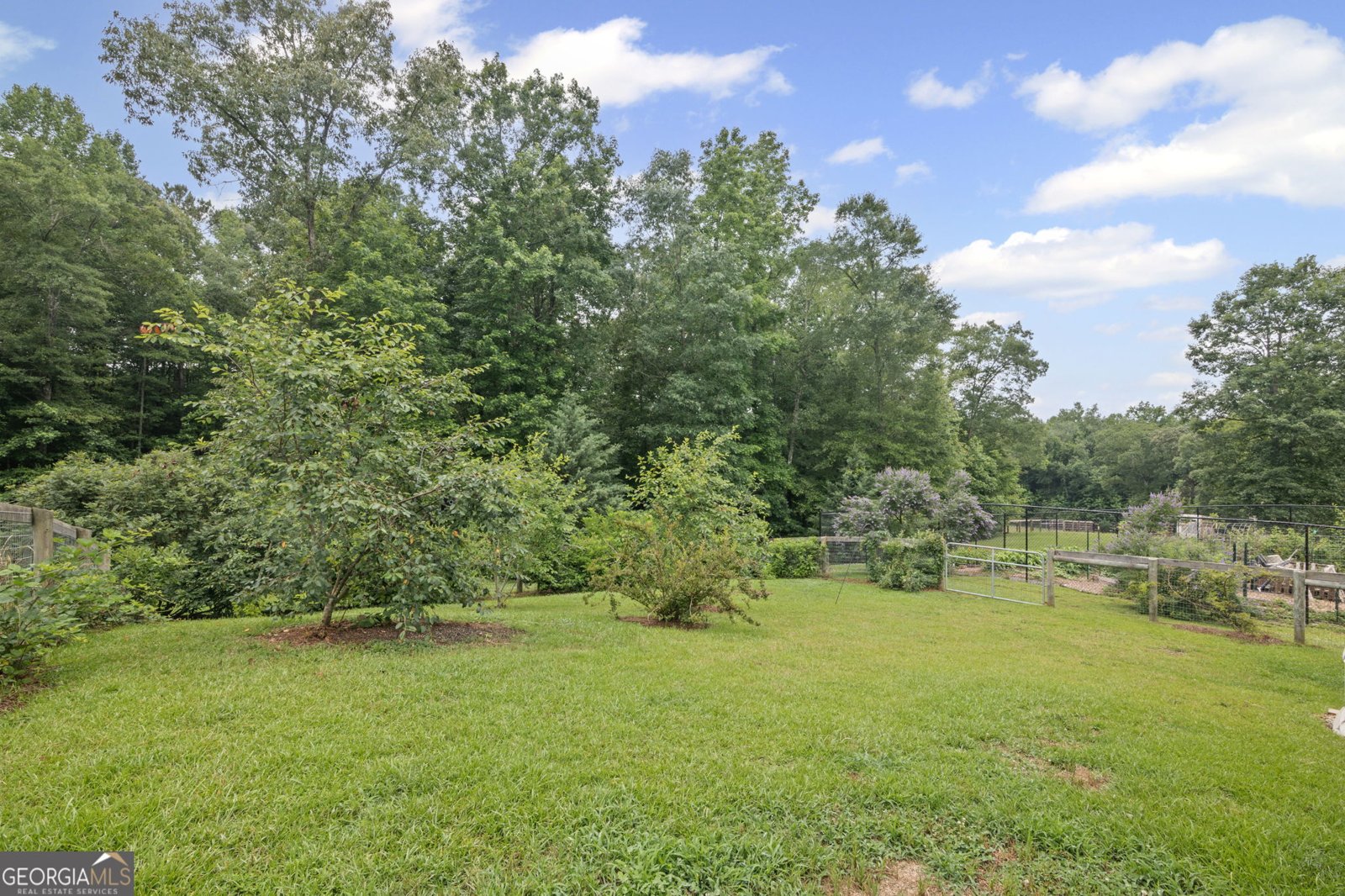 1953 Bishop Road Luthersville - 24