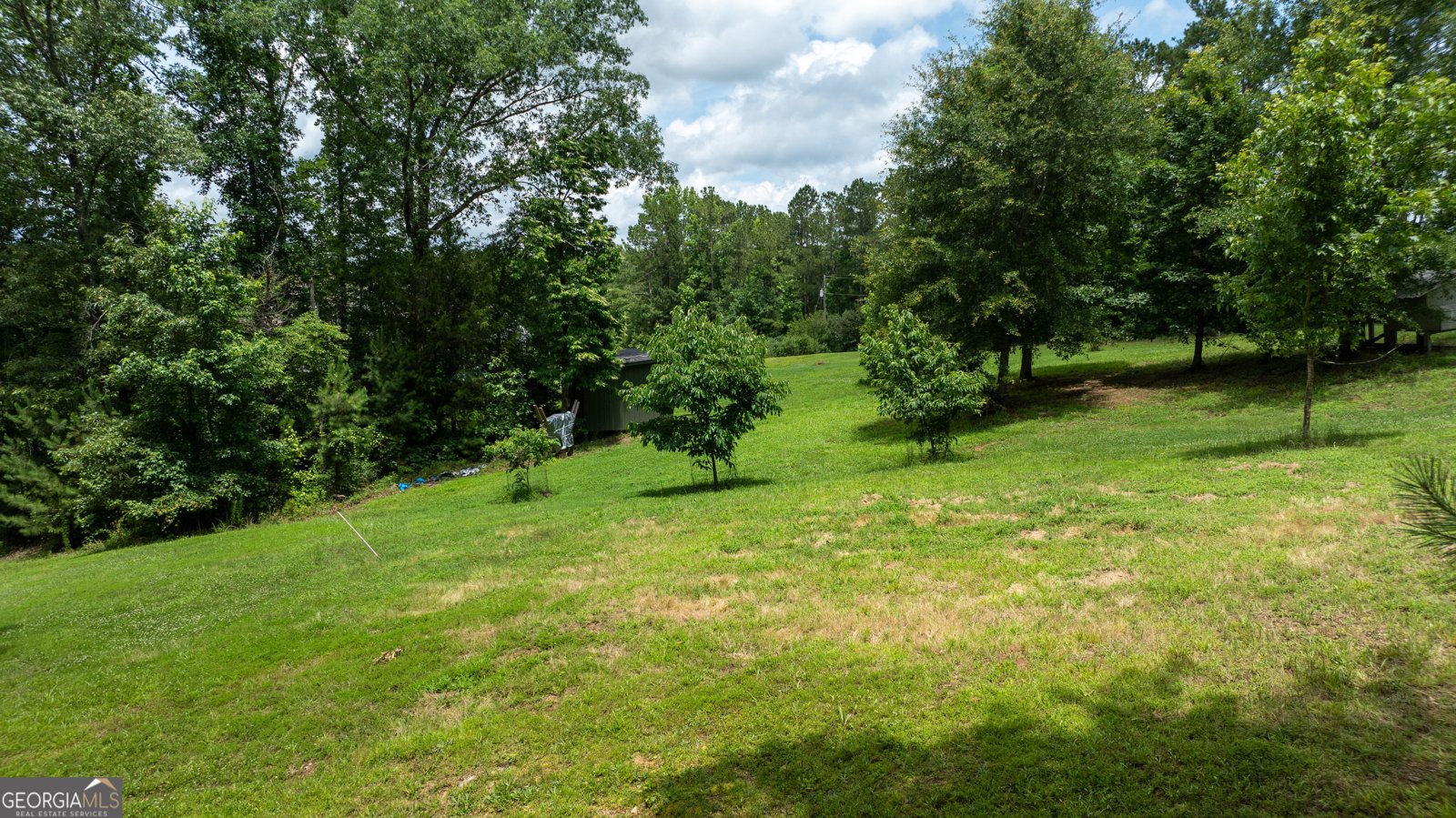 1953 Bishop Road Luthersville - 68