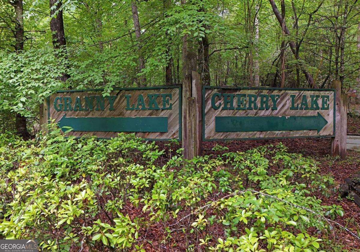 73 Rosiey Lane Blue Ridge - 51