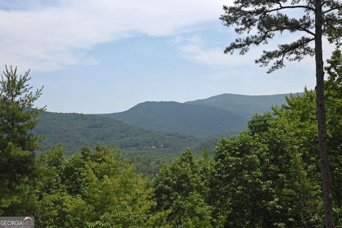 73 Rosiey Lane Blue Ridge - 8