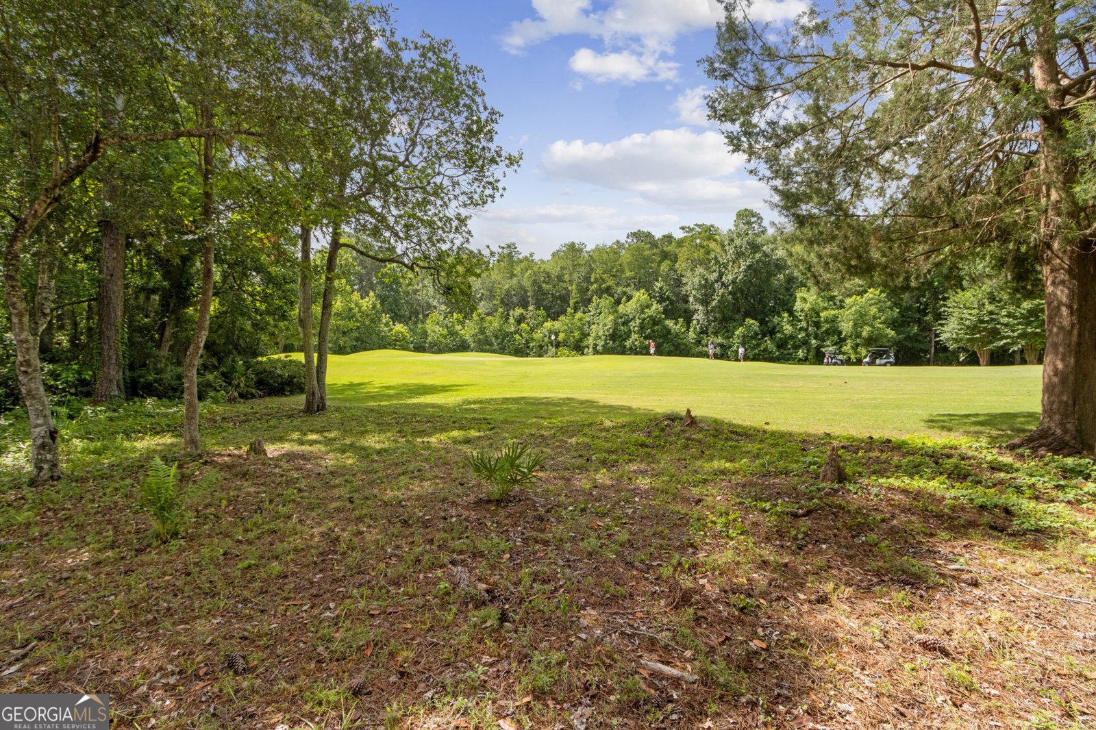 221 Osprey Circle St. Marys - 57