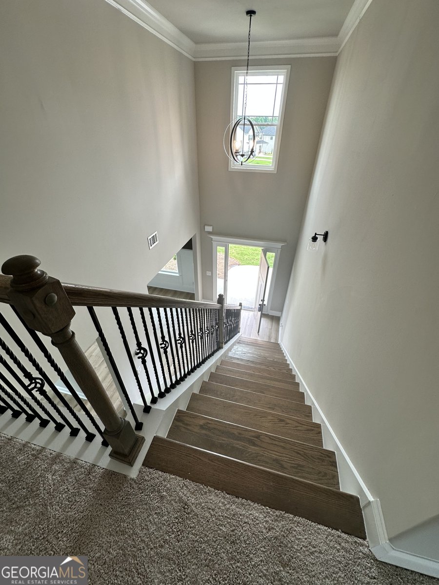 206 Ashley Nicole Avenue Bonaire - 9