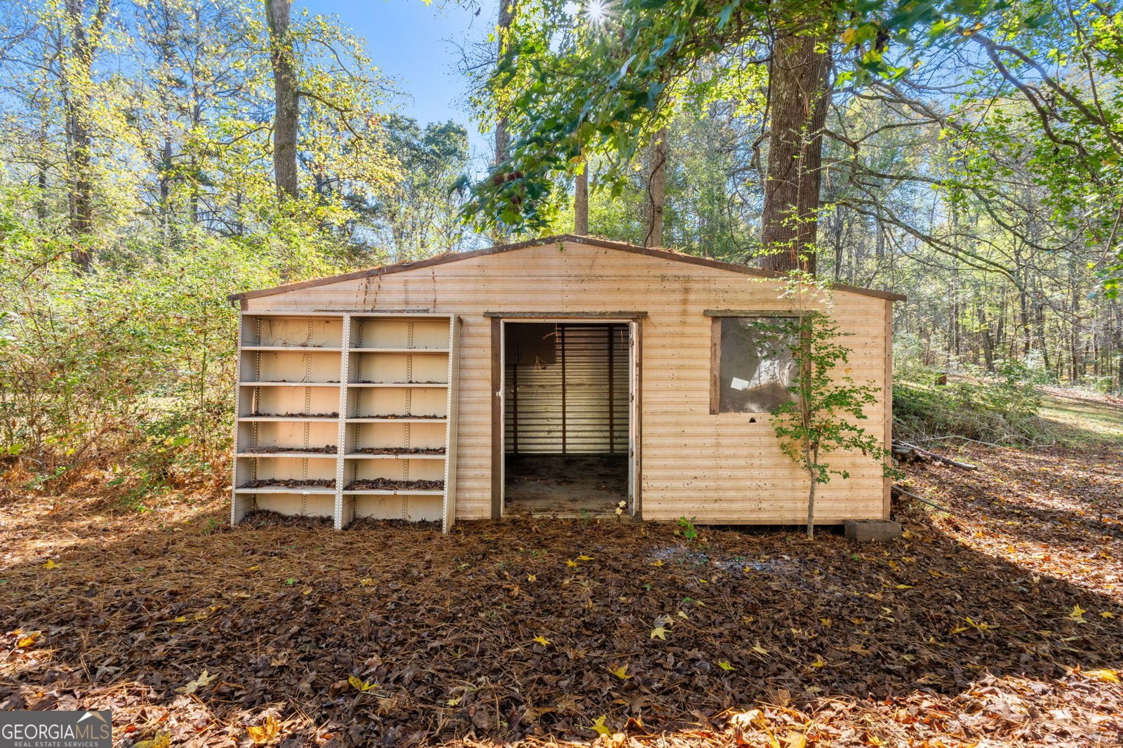 465 Haynie Road Moreland - 26