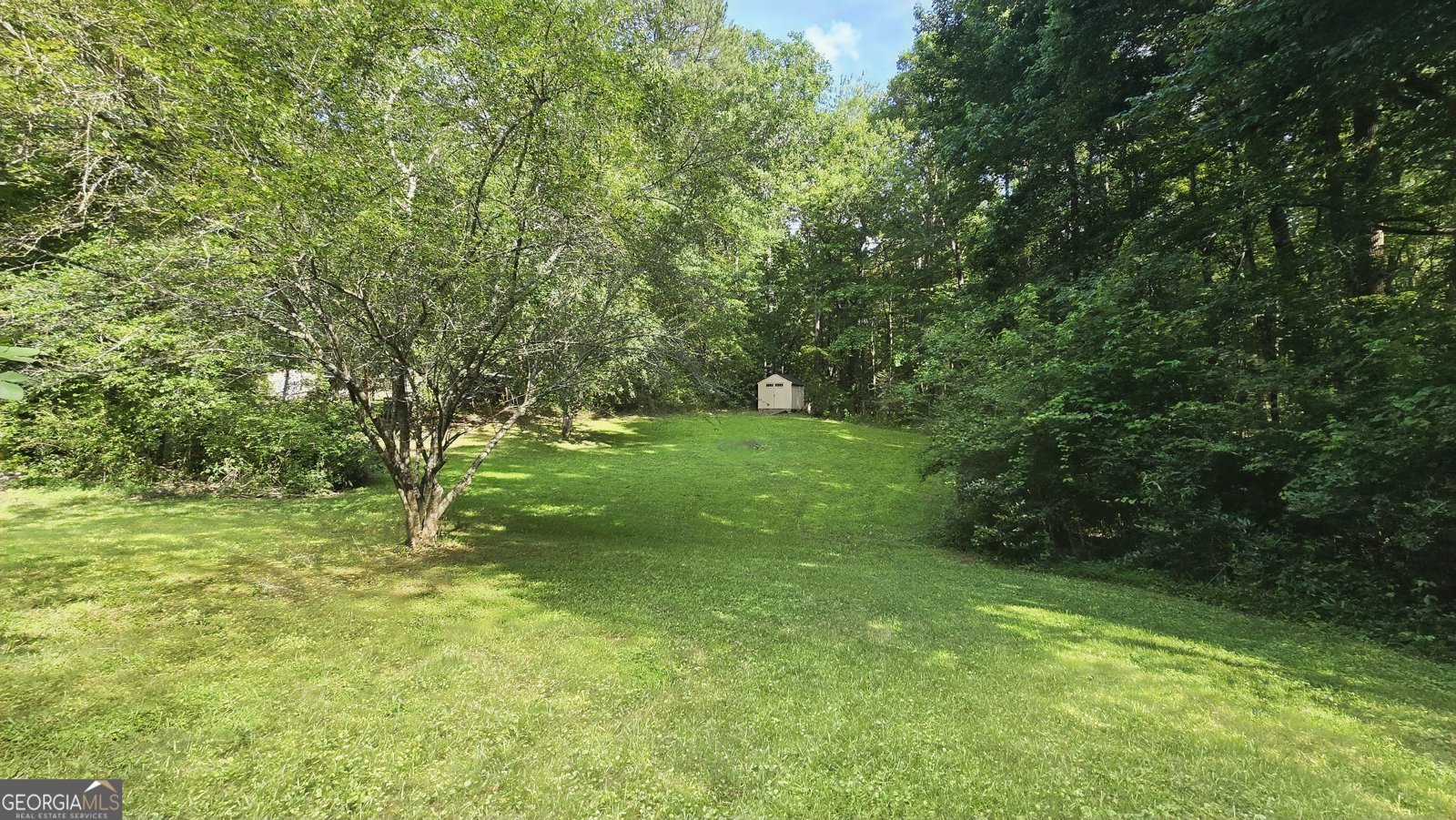 465 Haynie Road Moreland - 29