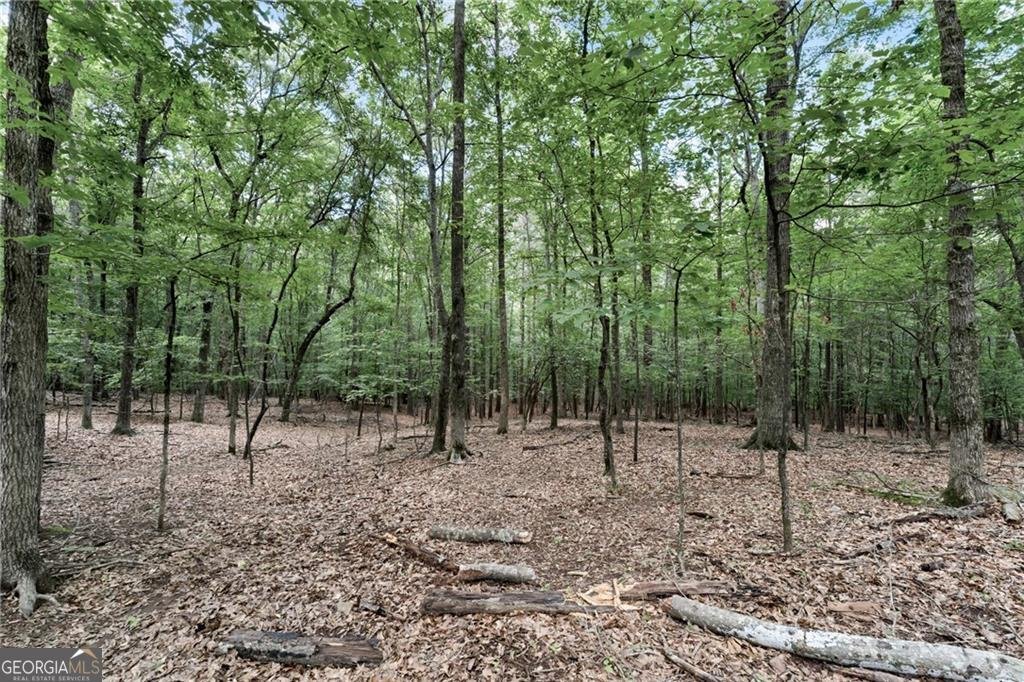 6185 Masters Club Drive Suwanee - 50