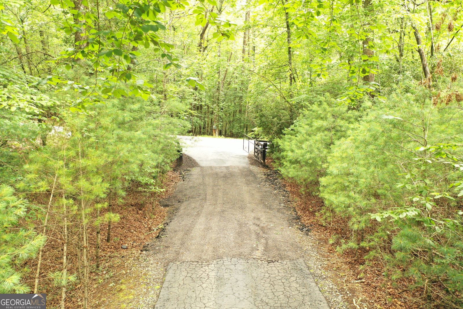 317 Running Deer Road Cleveland - 21