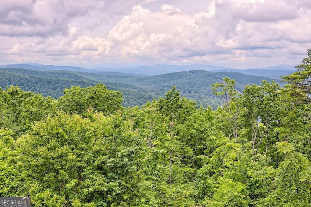 990 Hickory Nut Mountain Road Tallulah Falls - 20