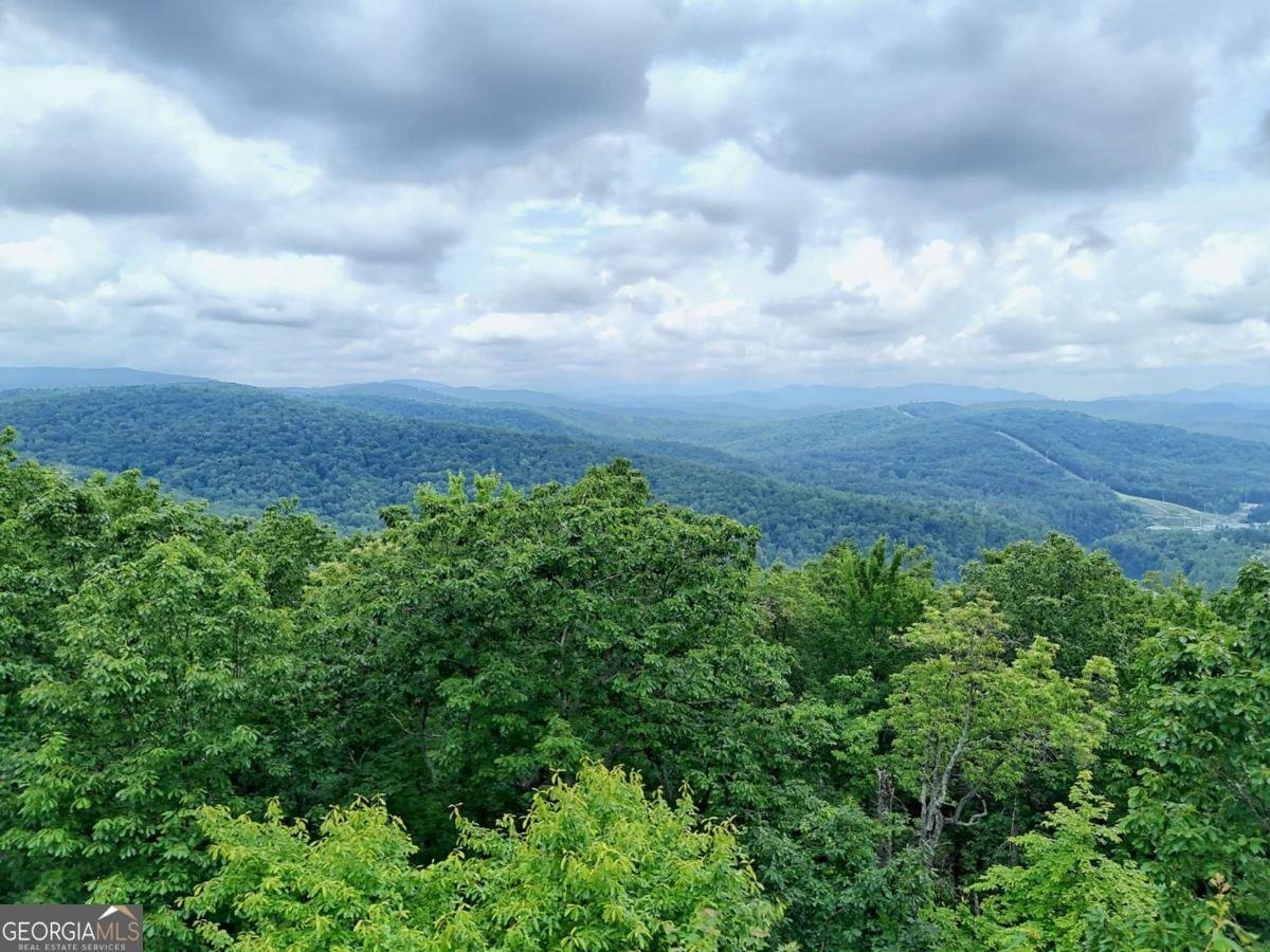 990 Hickory Nut Mountain Road Tallulah Falls - 53
